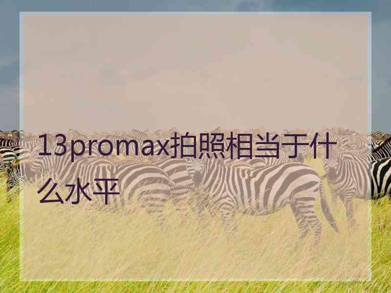 13promax拍照相当于什么水平