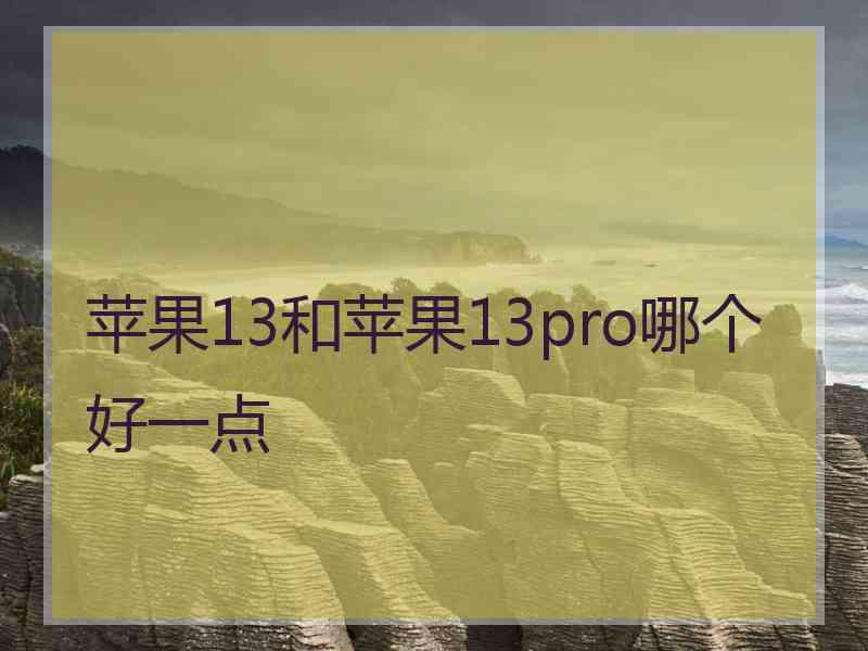 苹果13和苹果13pro哪个好一点