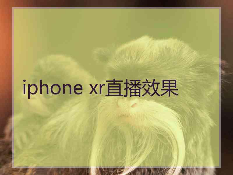 iphone xr直播效果