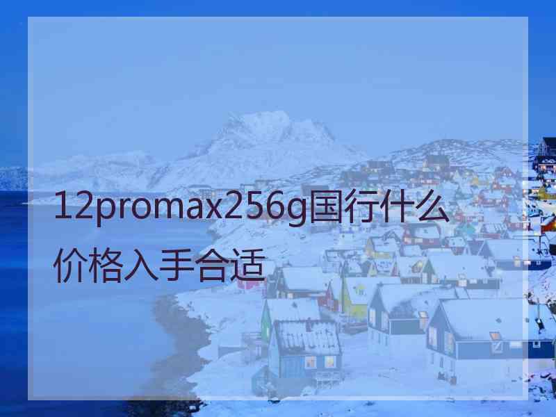 12promax256g国行什么价格入手合适