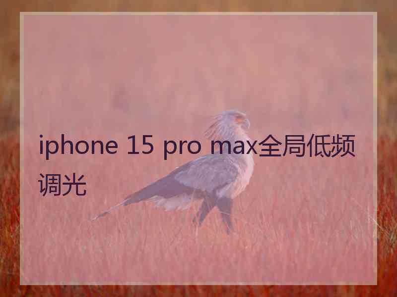 iphone 15 pro max全局低频调光