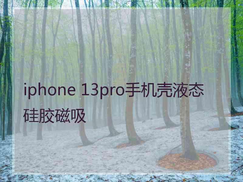 iphone 13pro手机壳液态硅胶磁吸