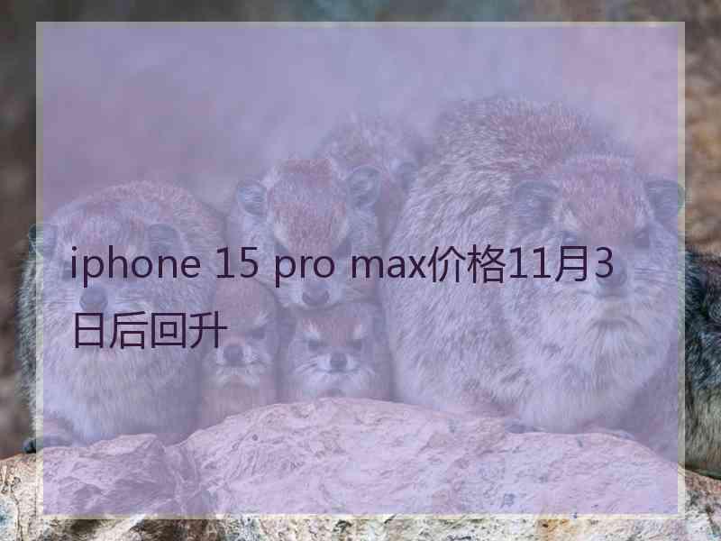 iphone 15 pro max价格11月3日后回升