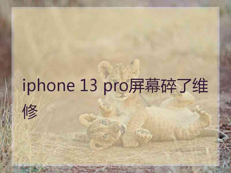 iphone 13 pro屏幕碎了维修