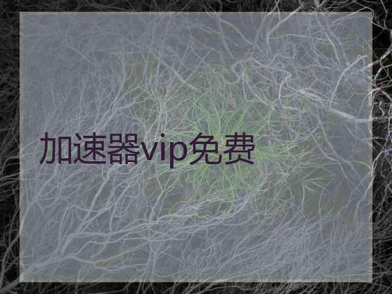 加速器vip免费