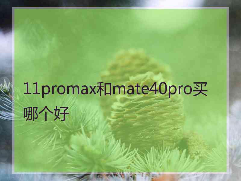 11promax和mate40pro买哪个好