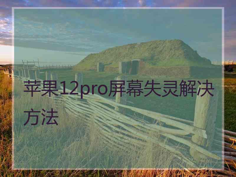 苹果12pro屏幕失灵解决方法