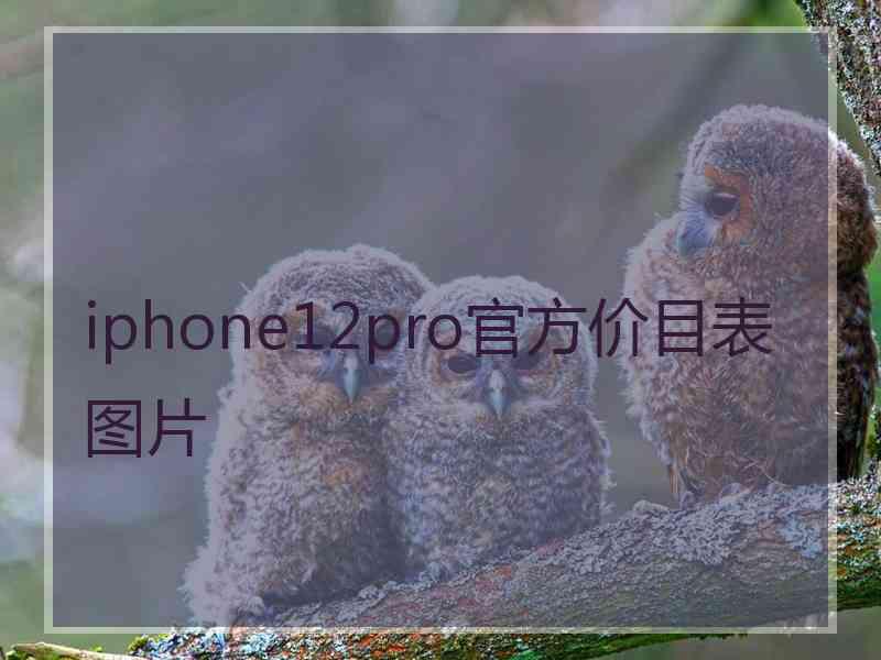 iphone12pro官方价目表图片