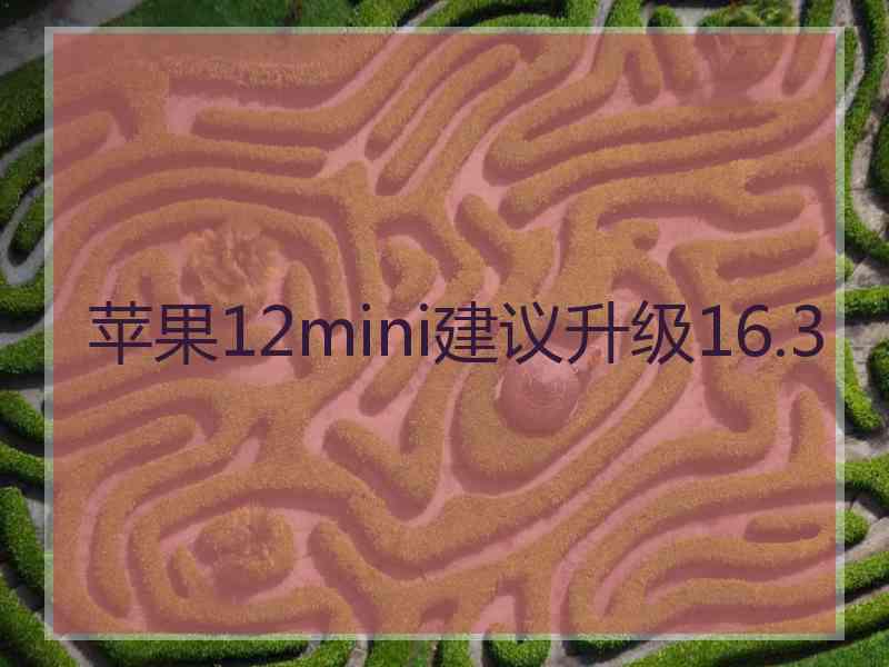 苹果12mini建议升级16.3