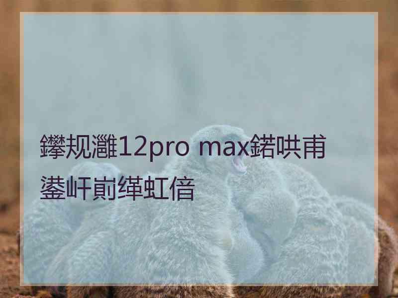 鑻规灉12pro max鍩哄甫鍙屽崱缂虹偣