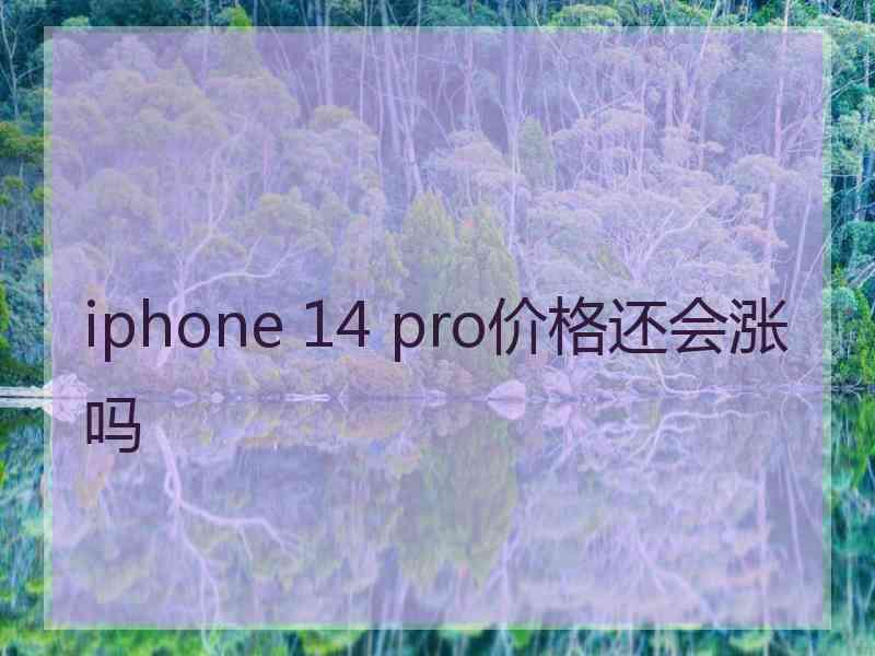 iphone 14 pro价格还会涨吗