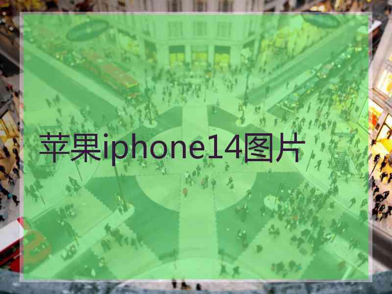 苹果iphone14图片