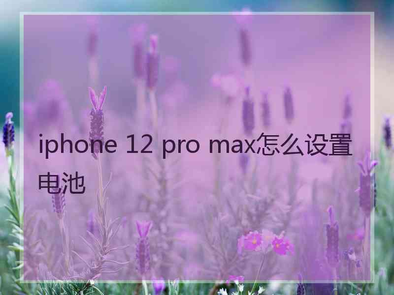 iphone 12 pro max怎么设置电池