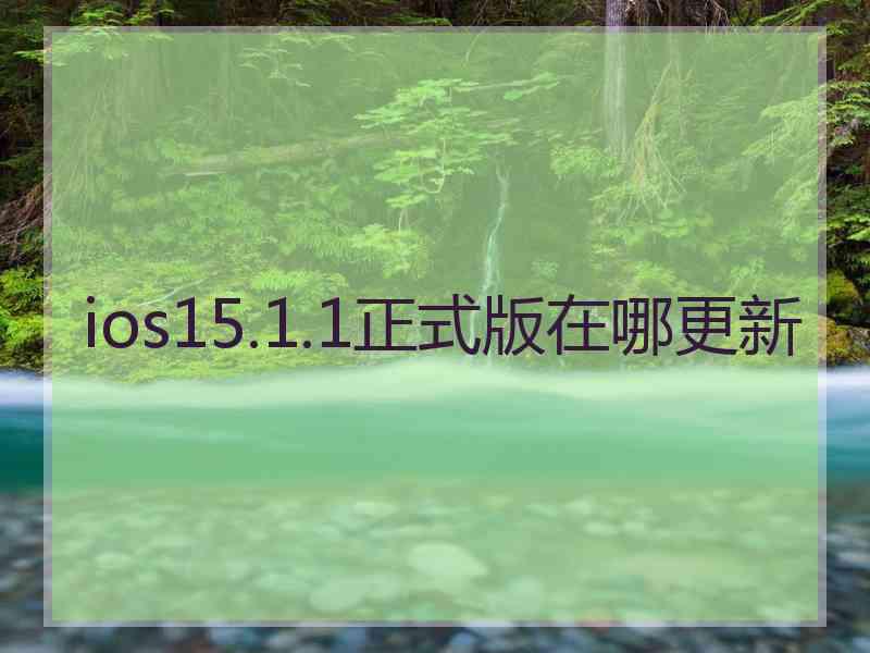 ios15.1.1正式版在哪更新