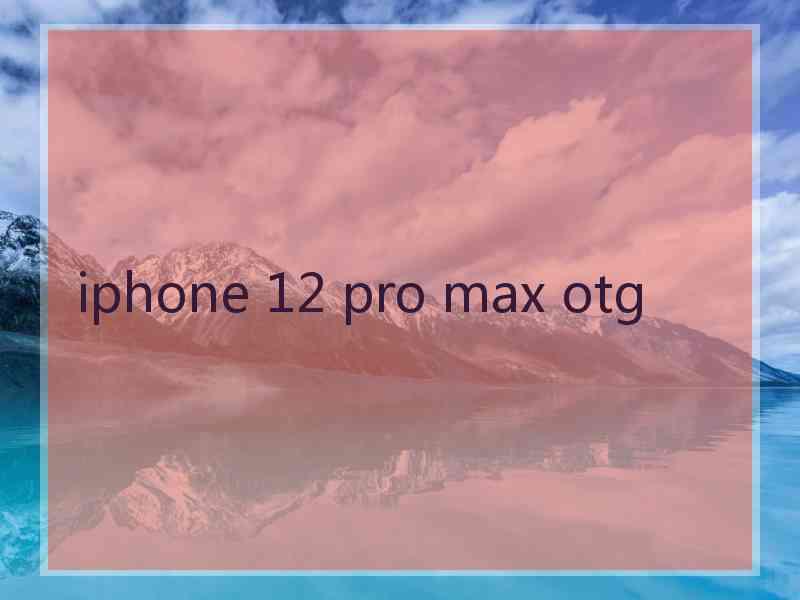 iphone 12 pro max otg