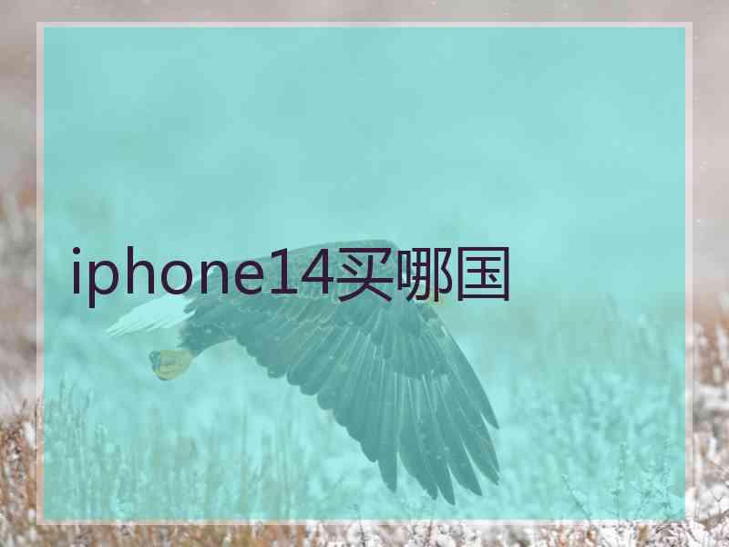 iphone14买哪国