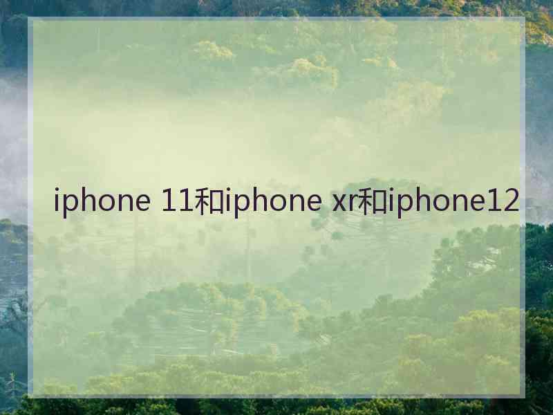 iphone 11和iphone xr和iphone12