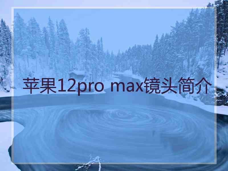 苹果12pro max镜头简介