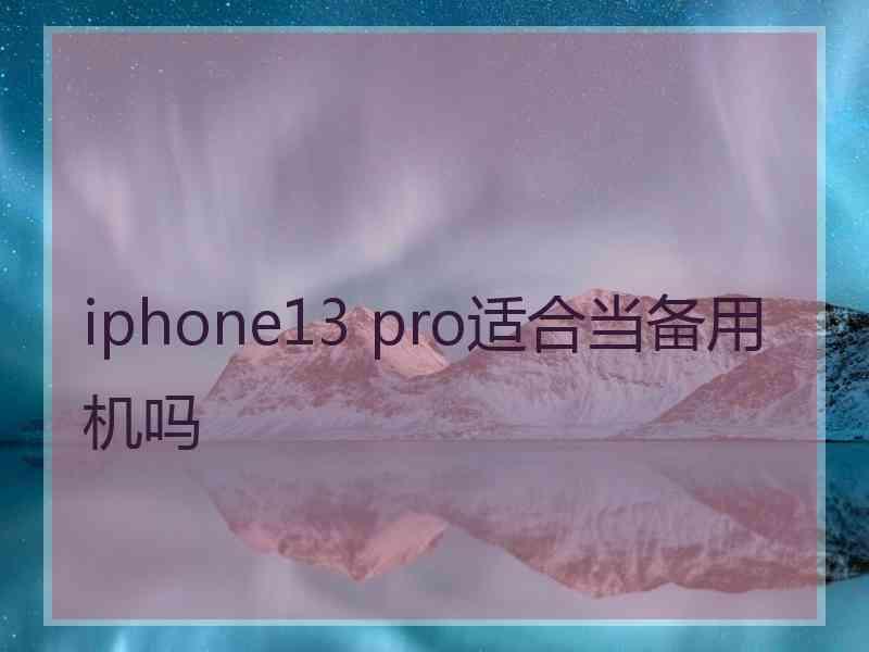 iphone13 pro适合当备用机吗