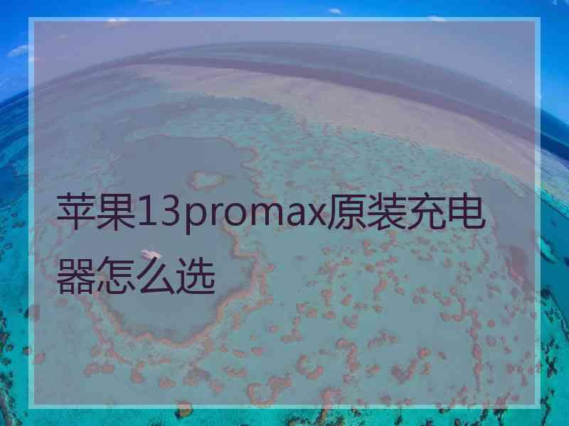 苹果13promax原装充电器怎么选