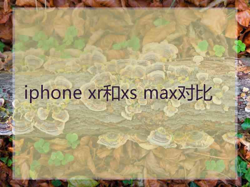 iphone xr和xs max对比