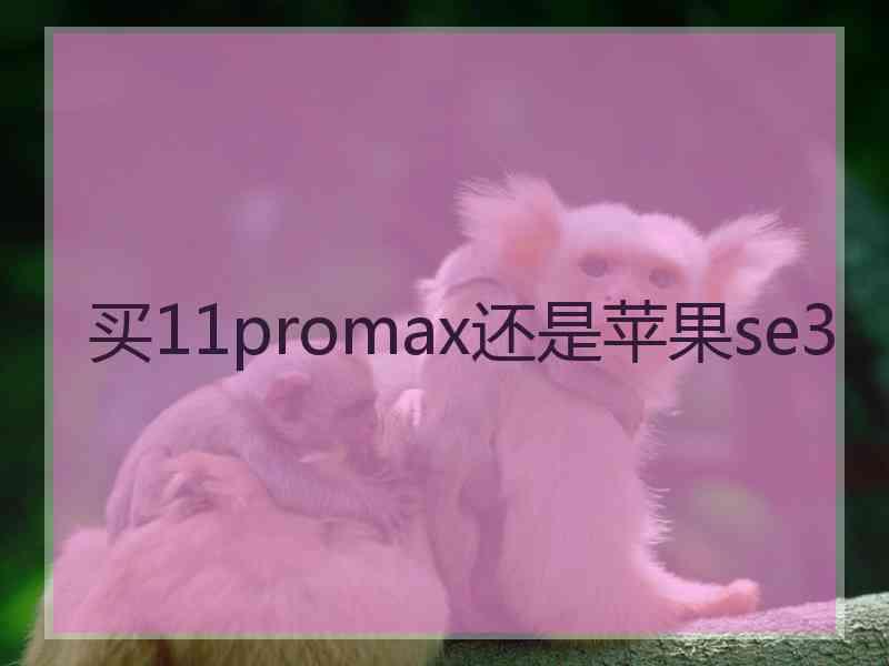 买11promax还是苹果se3