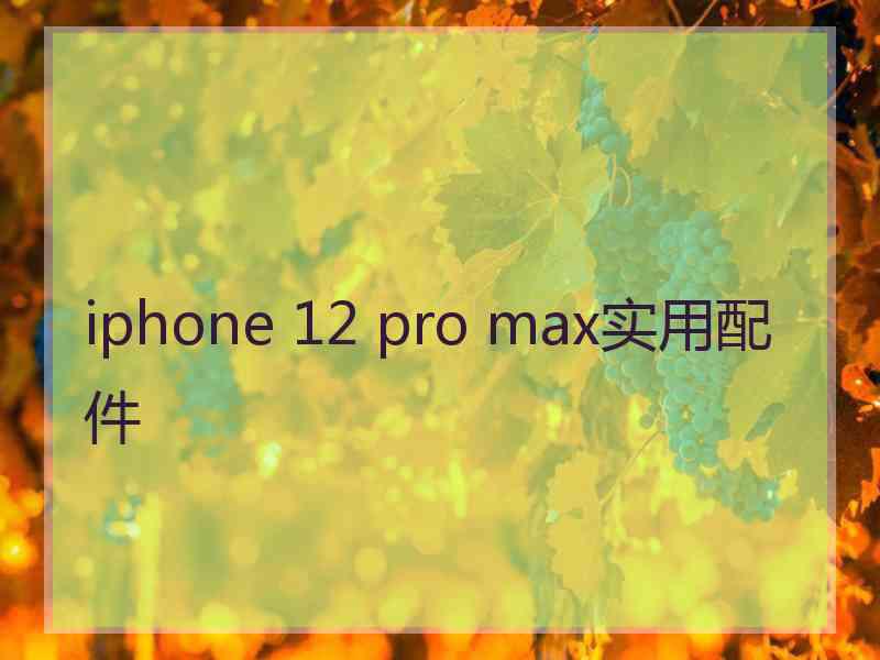 iphone 12 pro max实用配件