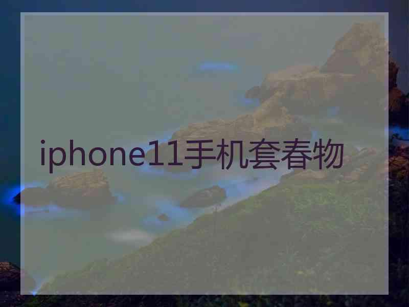 iphone11手机套春物