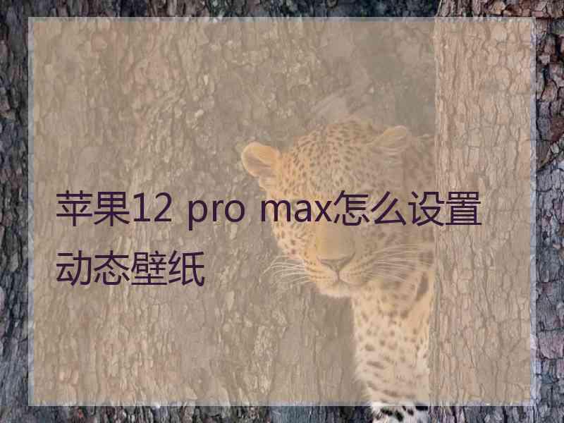 苹果12 pro max怎么设置动态壁纸