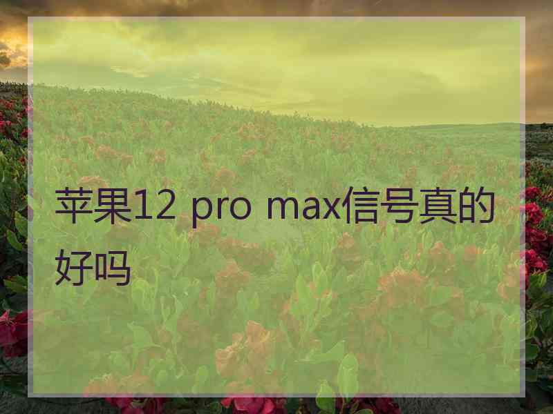 苹果12 pro max信号真的好吗