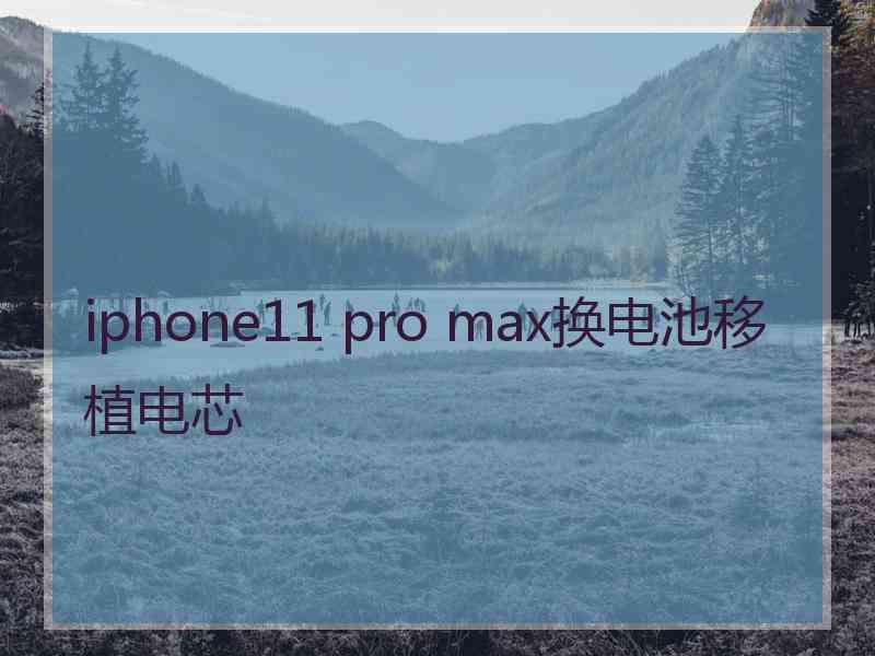 iphone11 pro max换电池移植电芯