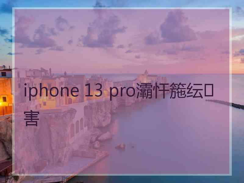 iphone 13 pro灞忓箷纭害