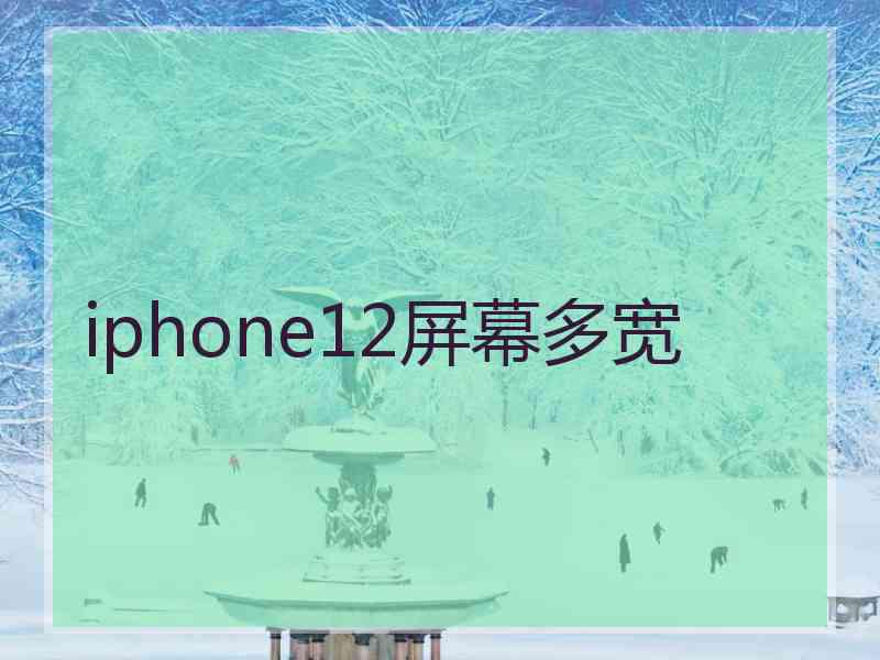 iphone12屏幕多宽