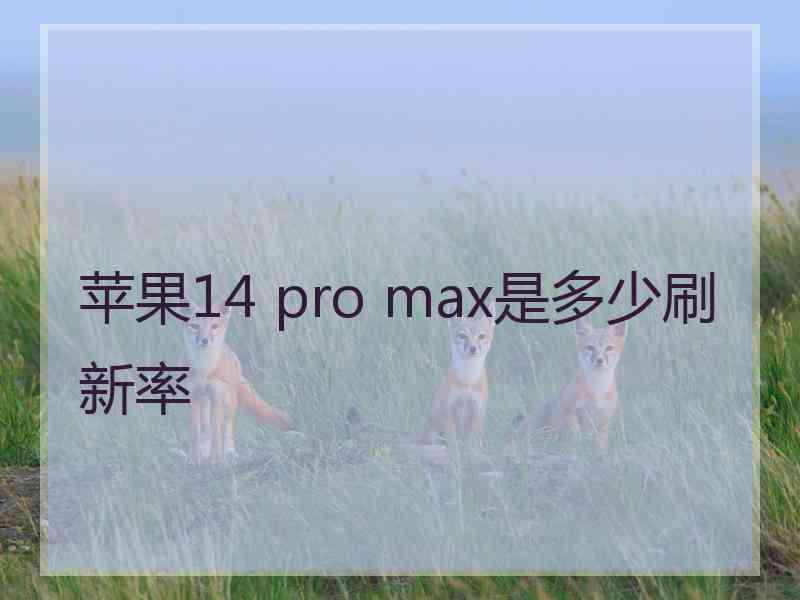 苹果14 pro max是多少刷新率