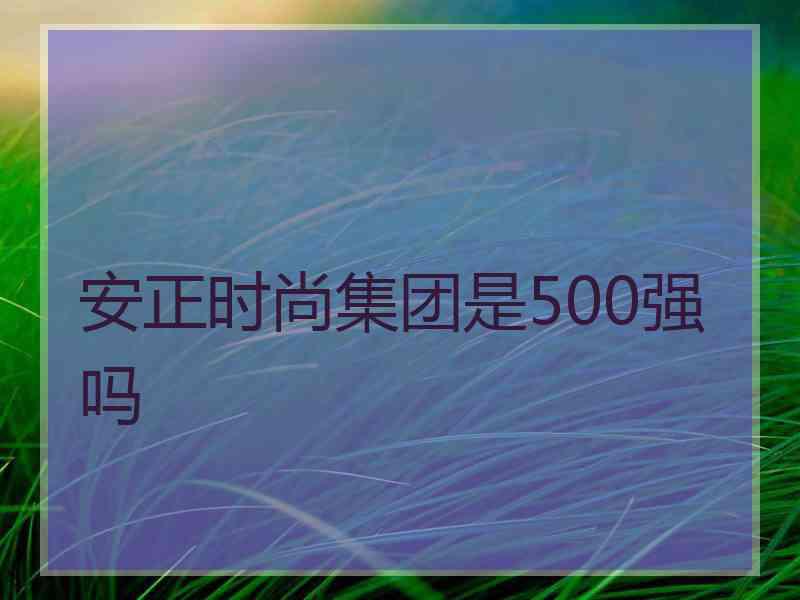 安正时尚集团是500强吗