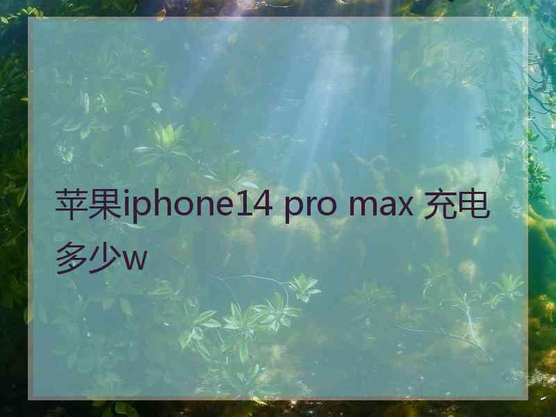 苹果iphone14 pro max 充电多少w