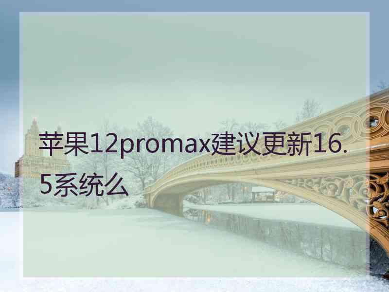 苹果12promax建议更新16.5系统么