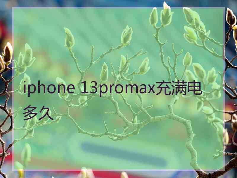 iphone 13promax充满电多久