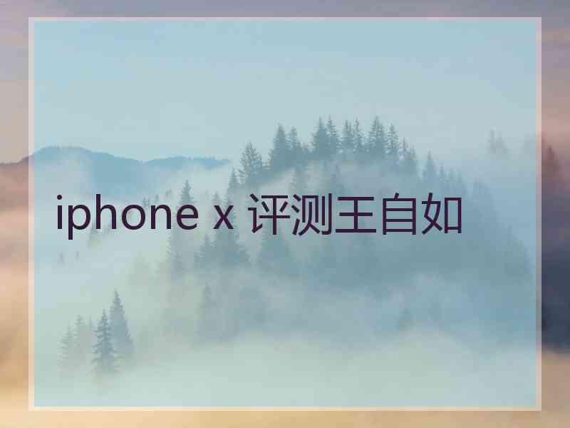 iphone x 评测王自如