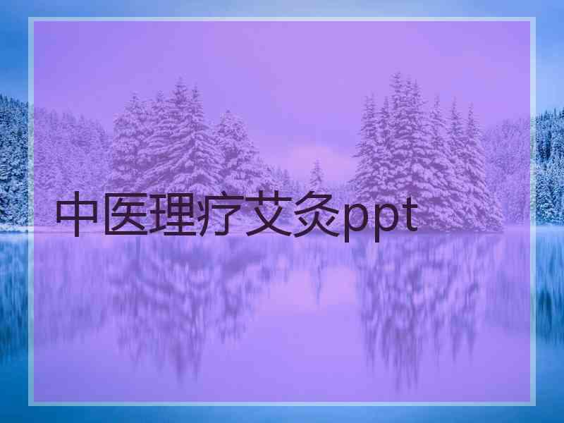 中医理疗艾灸ppt