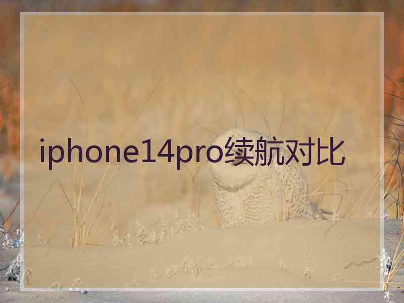 iphone14pro续航对比