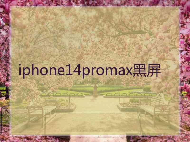 iphone14promax黑屏