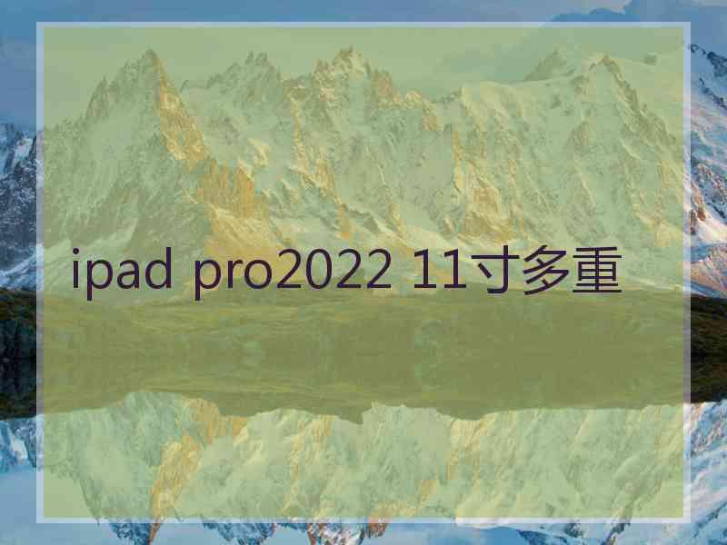 ipad pro2022 11寸多重