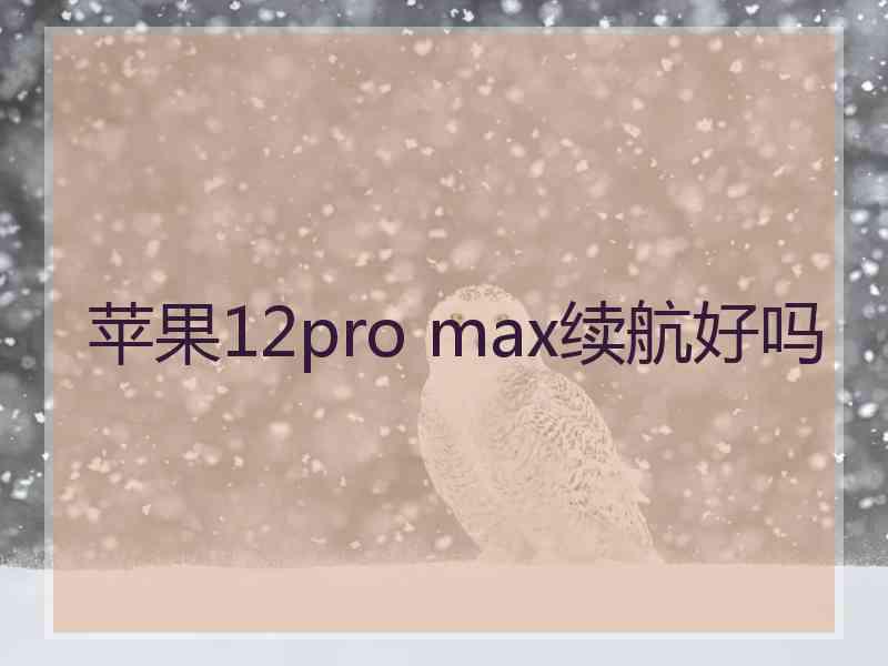 苹果12pro max续航好吗