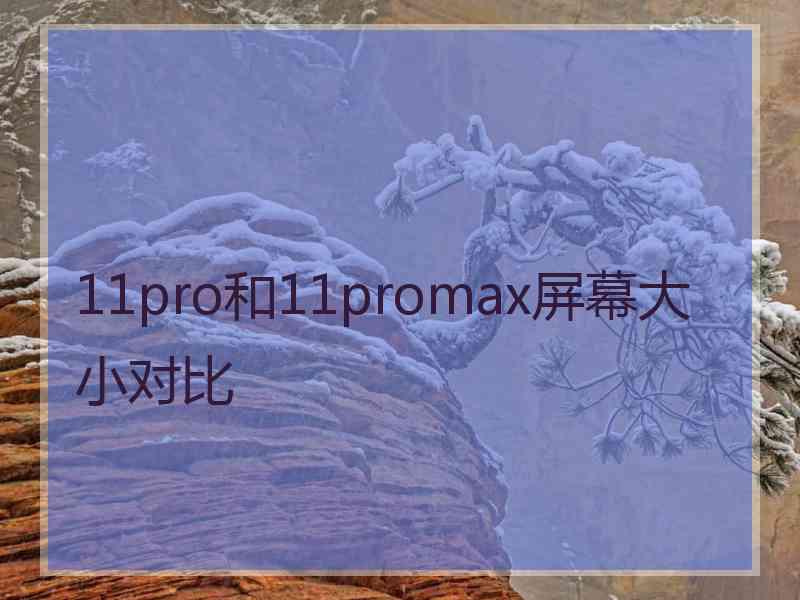 11pro和11promax屏幕大小对比