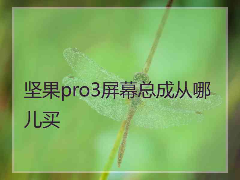 坚果pro3屏幕总成从哪儿买