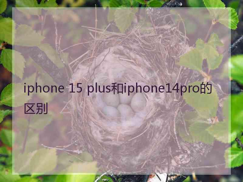 iphone 15 plus和iphone14pro的区别