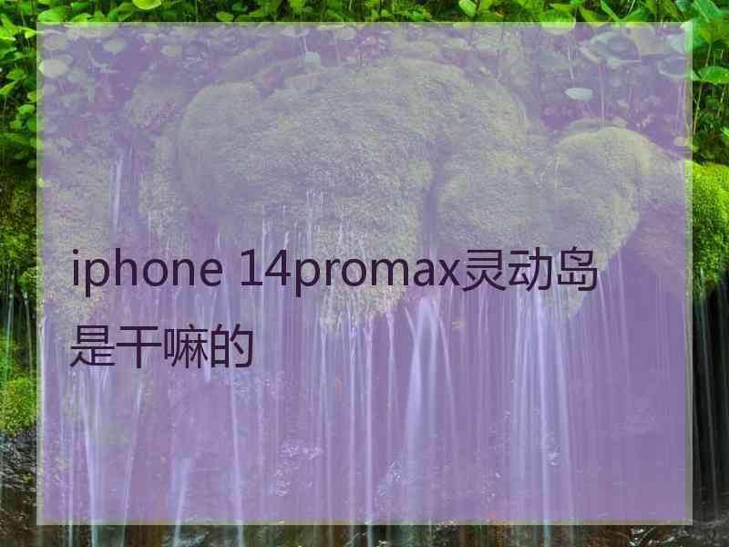 iphone 14promax灵动岛是干嘛的