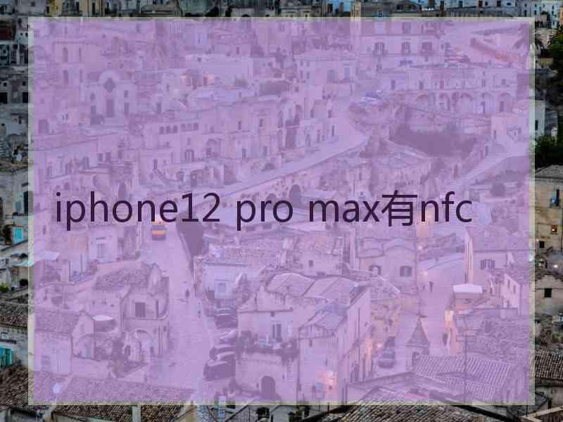 iphone12 pro max有nfc