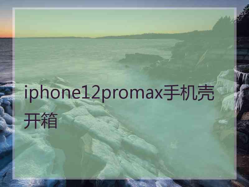 iphone12promax手机壳开箱